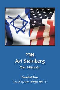 israeli_amer_flag_cover